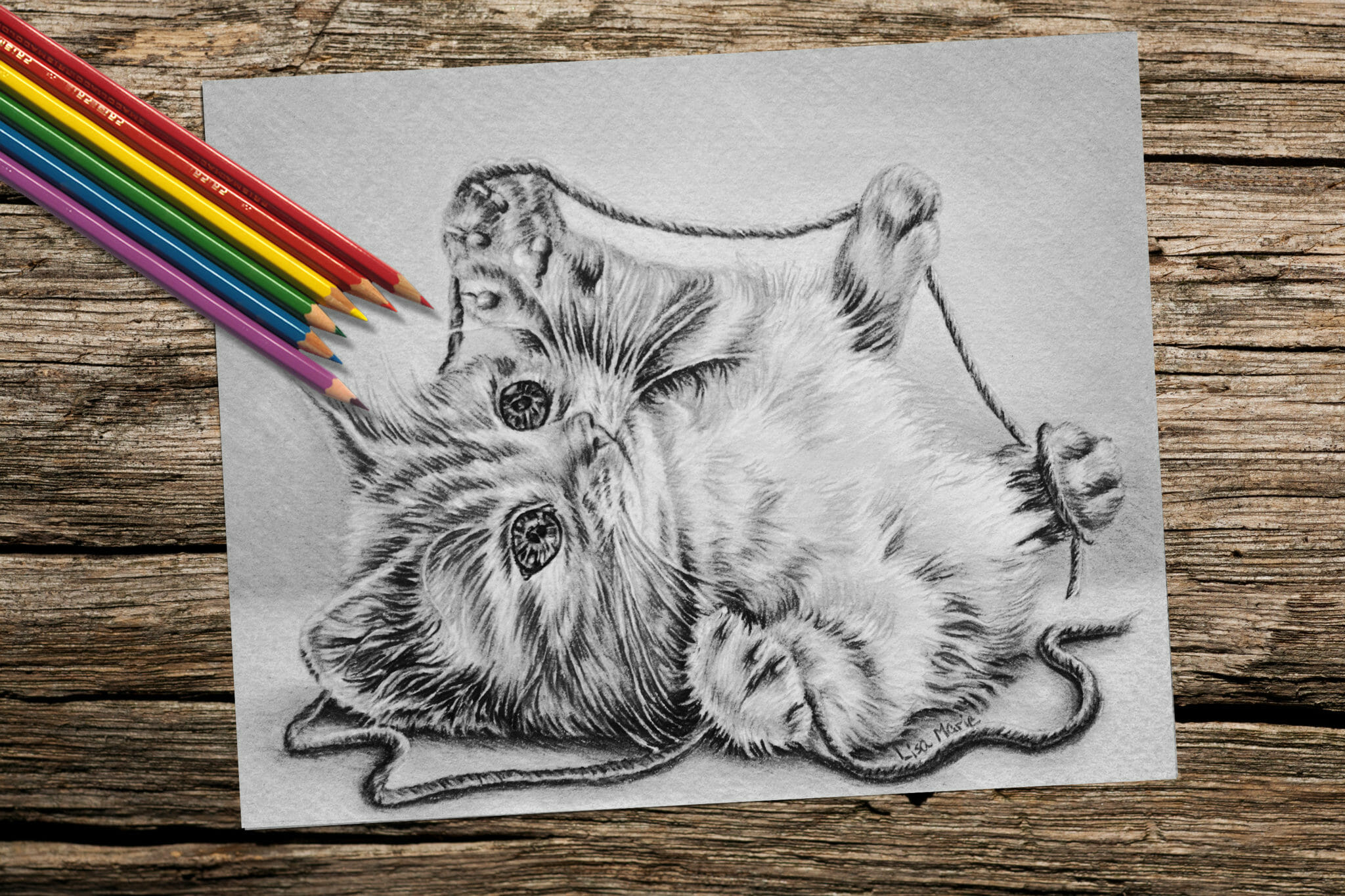 Download Printable Coloring Page: Kitten with Yarn - Artistry by ...