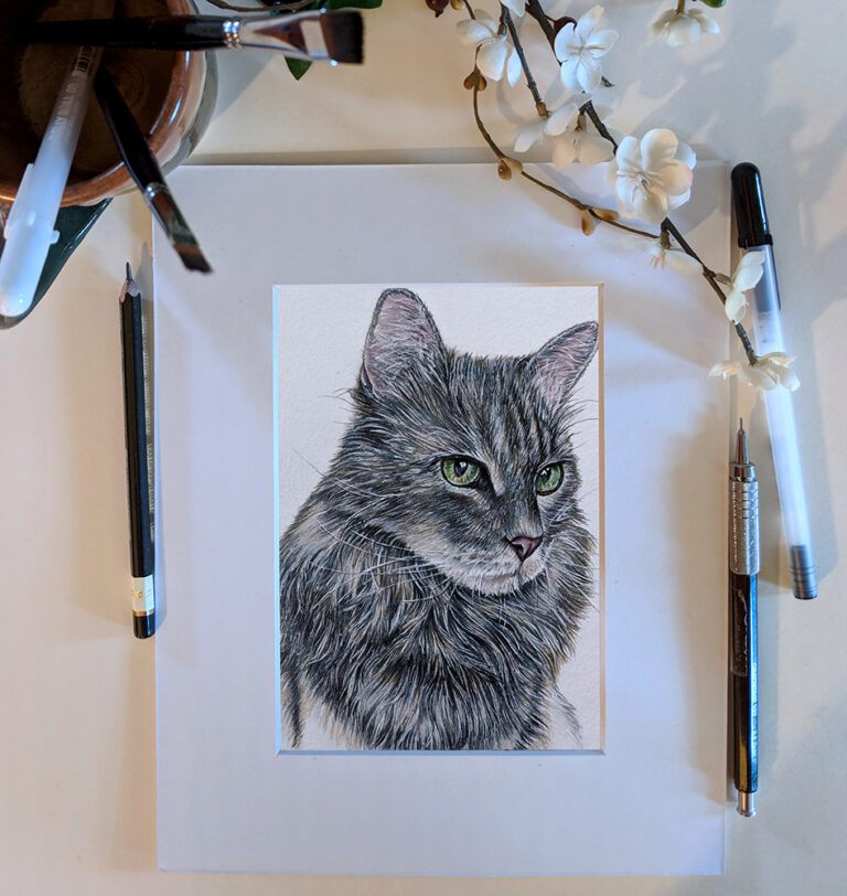Cat Portrait, 5"x7", Colored Pencil and Ink, SOLD