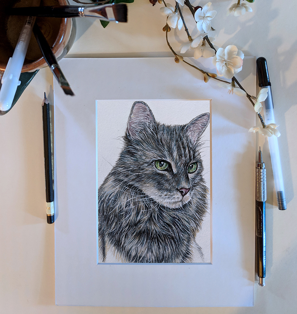 Custom Cat Portrait in Colored Pencil