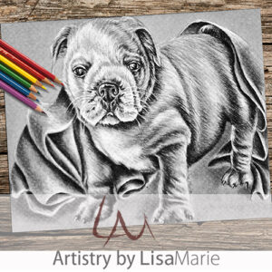 Bulldog With blanket Coloring Page