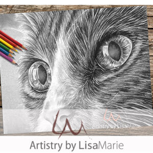 Cat Close Up Coloring Page