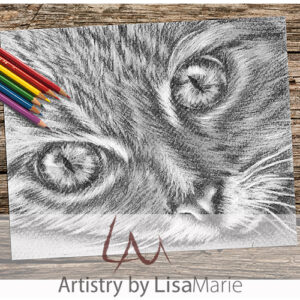Cat Eyes Close Up Coloring Page