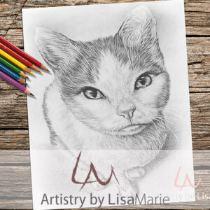 Cat Sitting Coloring Page