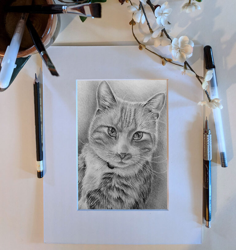 Cat Portrait, 5"x7", Graphite Pencil, SOLD