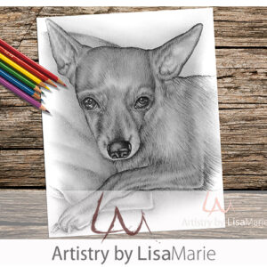 Chihuahua Sitting Coloring Page