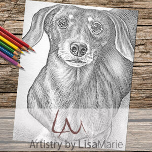 Dachshund Looking Up coloring page