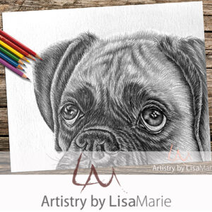 Dog Close Up Coloring Page