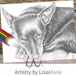 Dog Curled Up Coloring Page