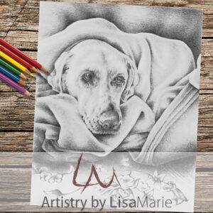 Dog In Blanket Coloring Page