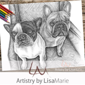 French Bulldogs On Chair Coloring Page