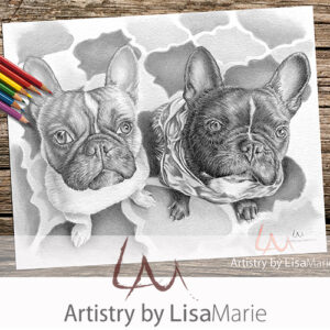 French Bulldogs Coloring Page
