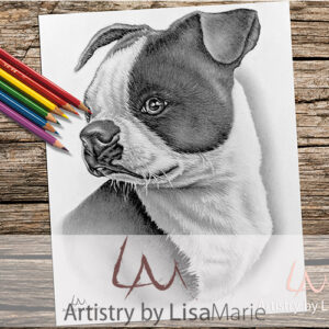 French Terrier Dog Coloring Page