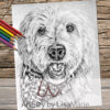 Goldendoodle Dog Coloring Page