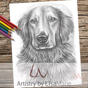 Golden Retriever Coloring Page