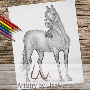 Horse In Pasture Coloring Page