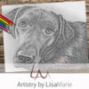 Labrador Dog Coloring Page