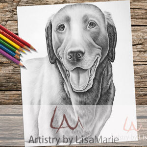 Labrador Dog Coloring Page