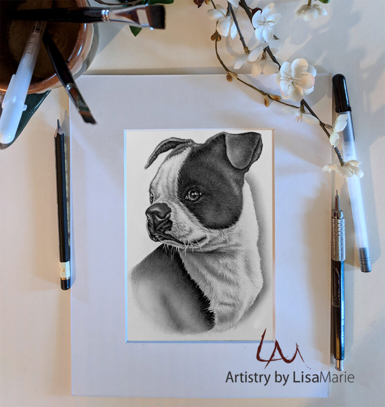 Boston Terrier Portrait, 5"x7", Graphite Pencil on Paper, SOLD
