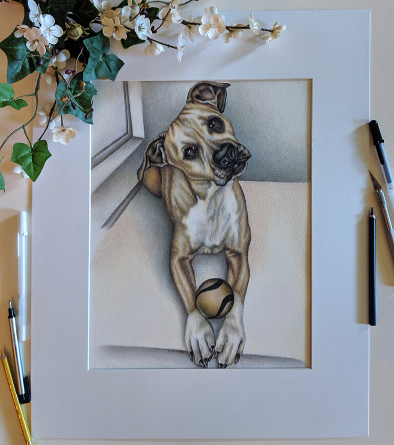 Dog With Ball, 11x14", Colored Pencil, SOLD