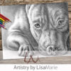 Pit Bull Close Up Coloring Page