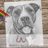 Pit Bull Portrait Coloring Page