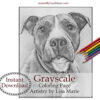 Pit Bull Portrait Coloring Page