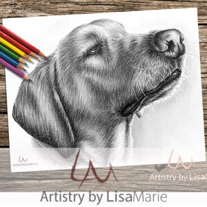 Retriever Looking Up Coloring Page