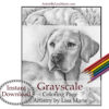 Retriever Dog Coloring Page