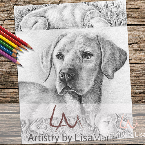 Retriever Dog Coloring Page
