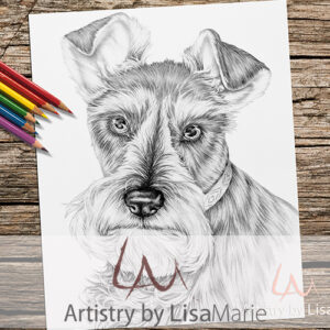 Schnauzer Dog Coloring Page
