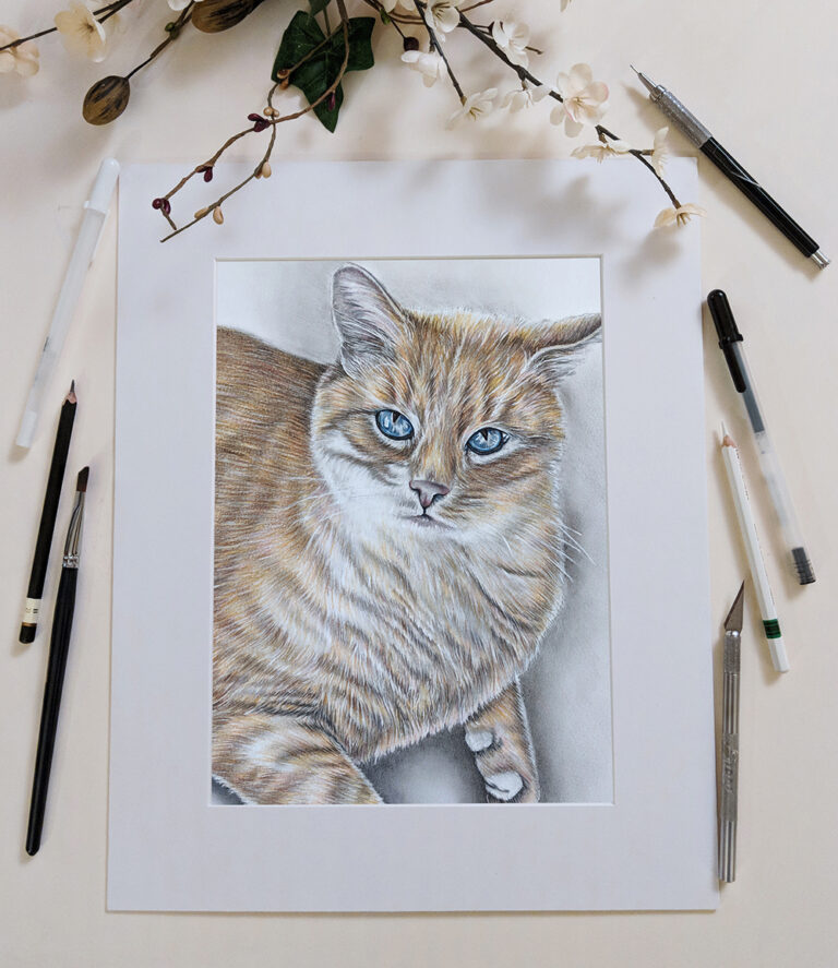 Tabby Cat, 8"x10", Colored Pencil on Paper, SOLD