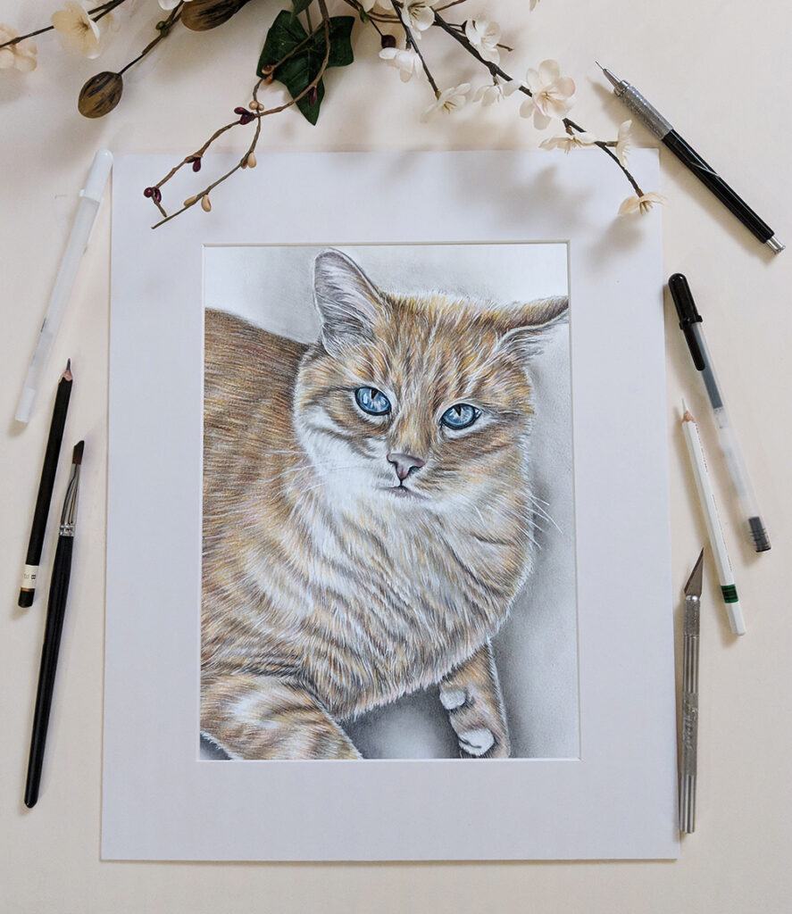 Custom Pet Portrait Cat in Colored Pencil