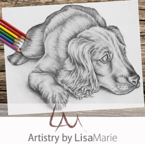 Spaniel Resting Coloring Page