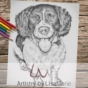 Spaniel Dog Coloring Page