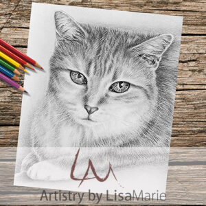 Tabby Cat Sitting Coloring Page