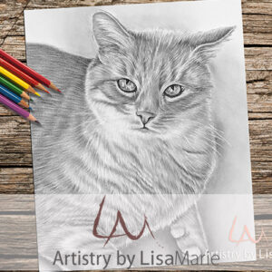Tabby Cat Coloring Page