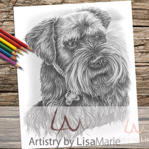 Terrier Dog Coloring Page