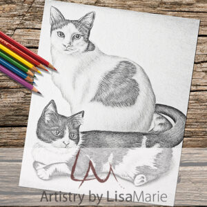 Two Cats Resting Coloring Page