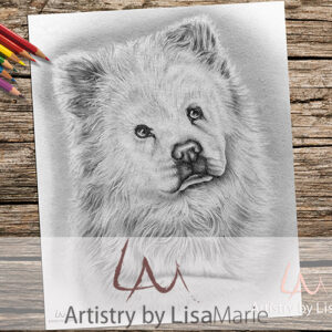 chow dog coloring page