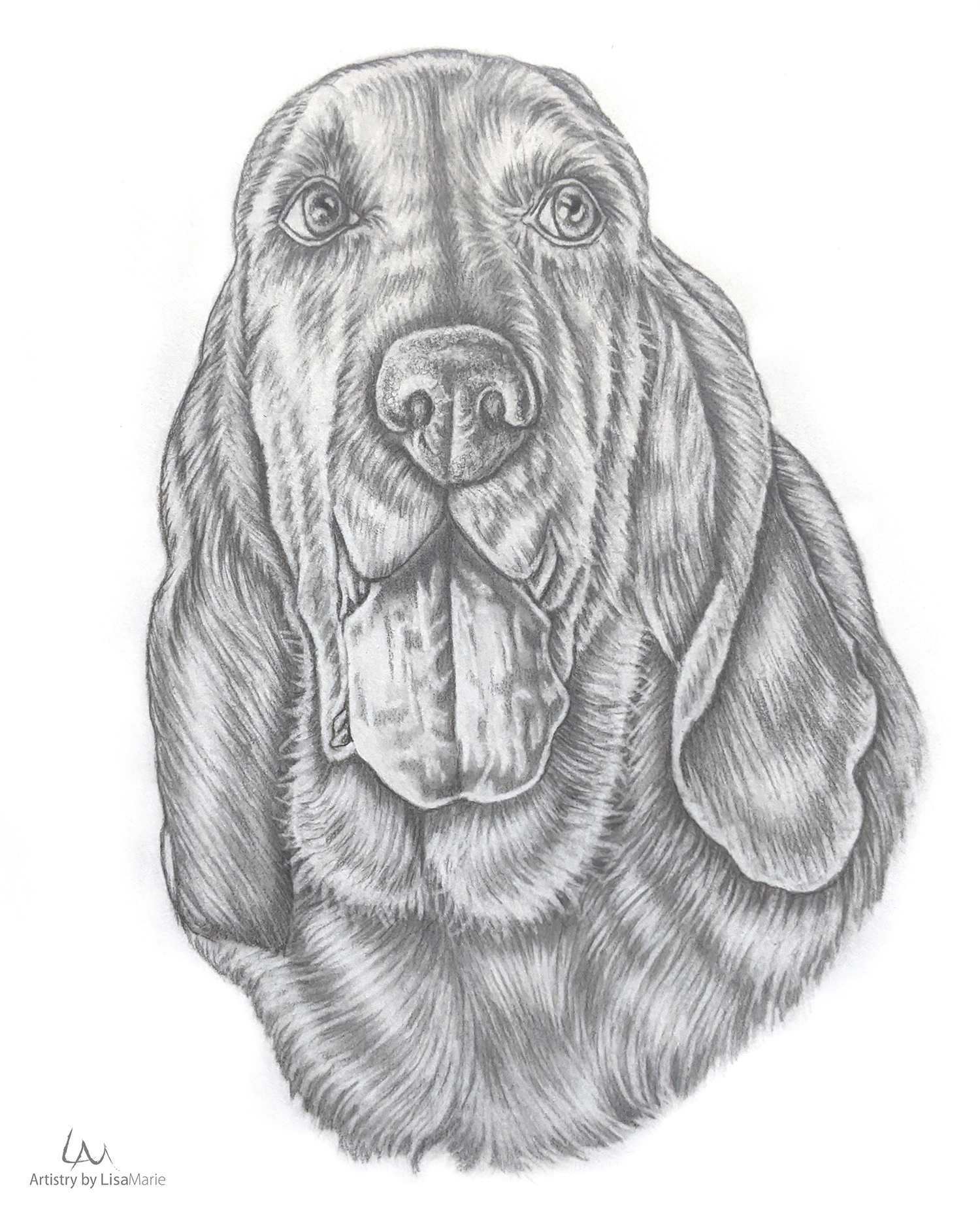 Bloodhound_5x6.5_Coloring Page – Artistry By Lisa Marie