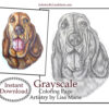 Bloodhound Coloring Page