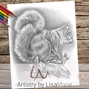 squirrel coloring page