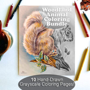 Woodland animals coloring bundle