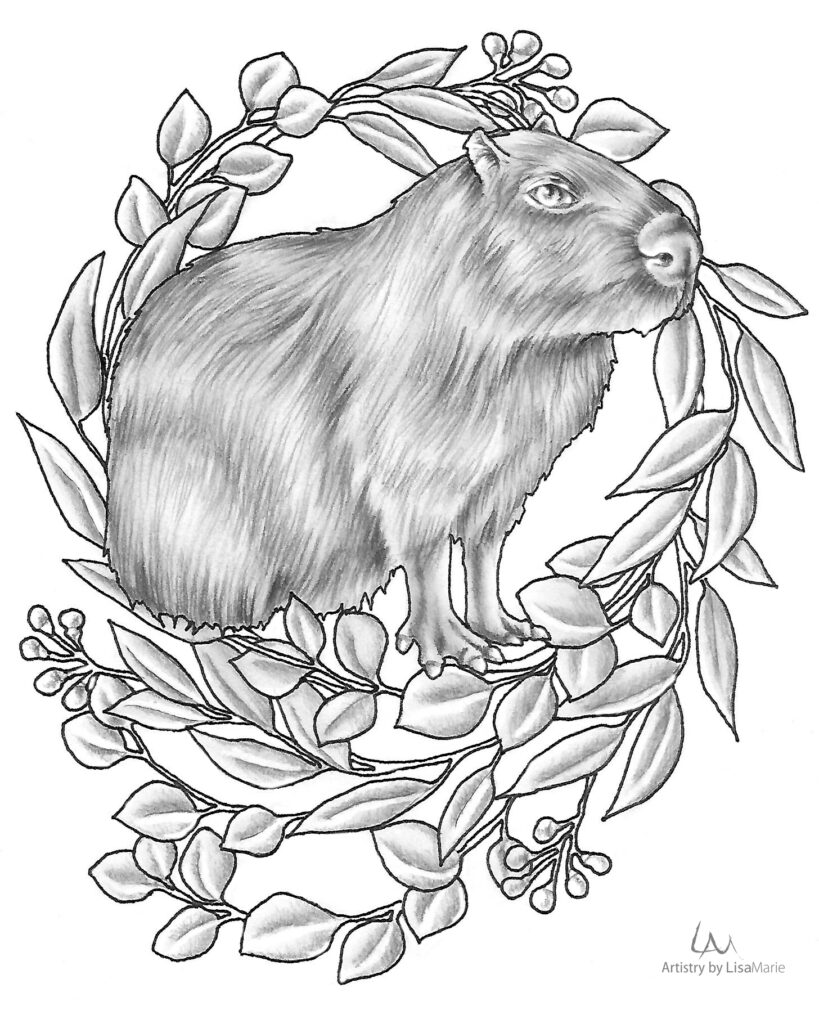 Capybara_8x10_ColoringPage – Artistry By Lisa Marie