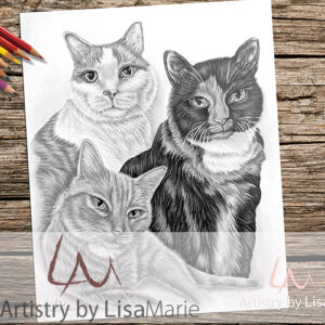 three cats sitting coloring page