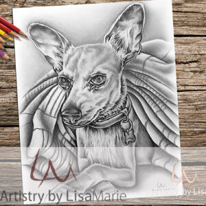 Chihuahua In Blanket Printable Coloring Book Page